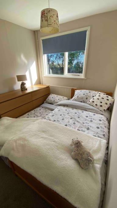 Cheerful 3 Bedroom Bungalow With Indoor Fire Place Gloucester Exterior foto